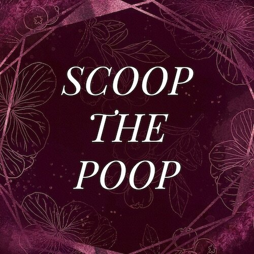 IG8041-Fall Vibes FC Scoop Poop Digital Graphic.jpg