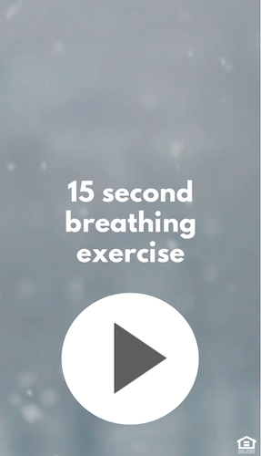 IGVD1002-Breathing Guide.png