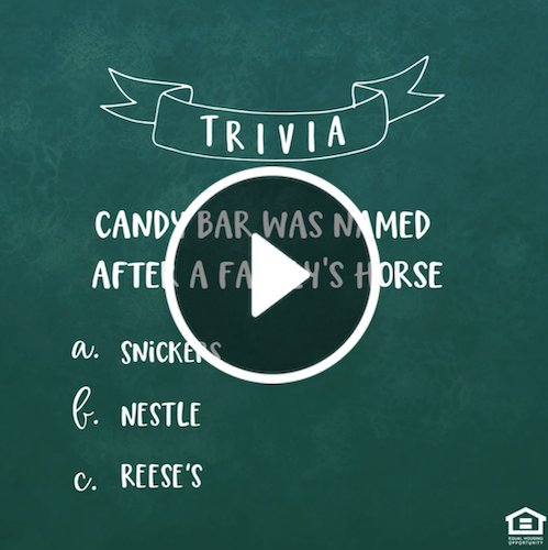 VD1125 - Simple Winter Sweet Trivia E.png