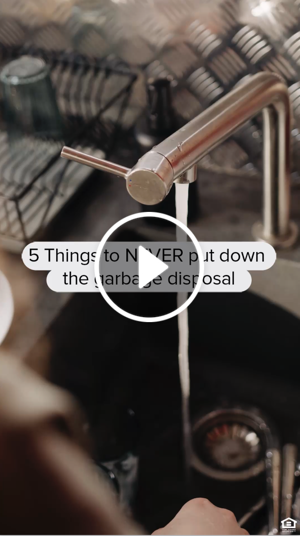 IGVD1011 - Garbage Disposal.png