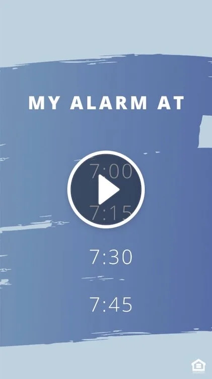 IGVD1033-Alarm.jpg