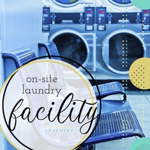 IG8766-Dotty Laundry Facility Digital Graphic.jpg