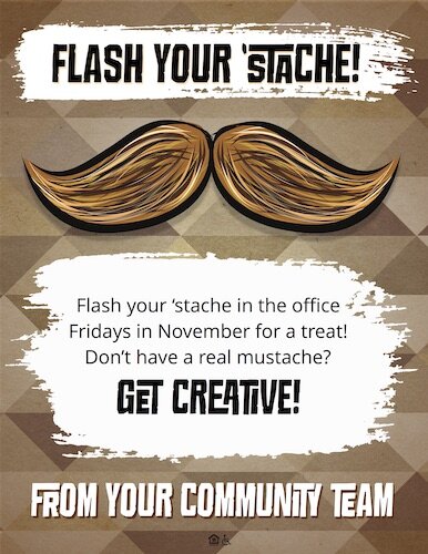 6364-FRFlashStache.jpg