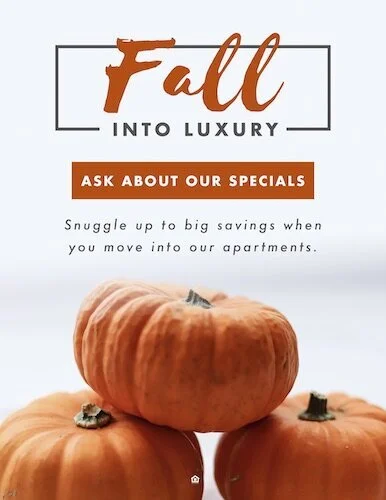 62188-Pumpkin+Outreach.jpg