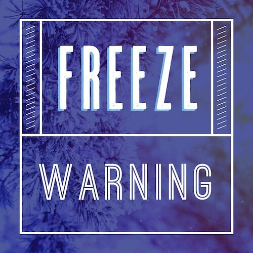 IG8422-Let+It+Snow+FC+Freeze+Warning+Digital+Graphic.jpeg