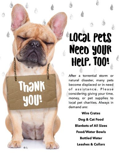 6603-LocalPetDonationGeneric.jpg