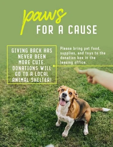 61844-Dandelion+FC+Pet+Charity.jpg