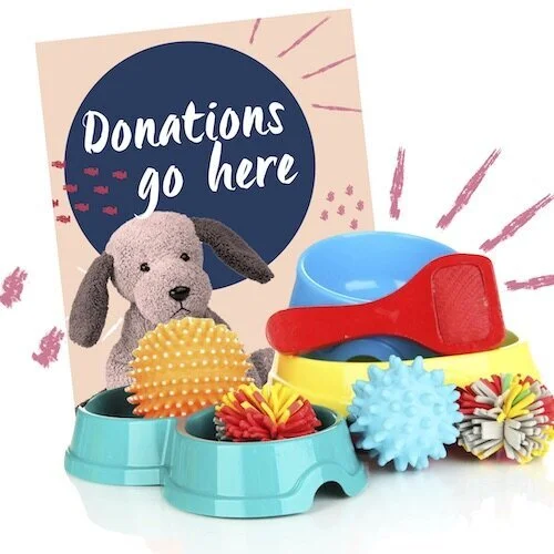 IG6764-Donations+Go+Here+Event+Mock.pages.jpg