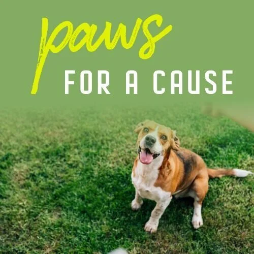 IG6982-Dandelion+FC+Pet+Charity+Digital+Graphic.jpg