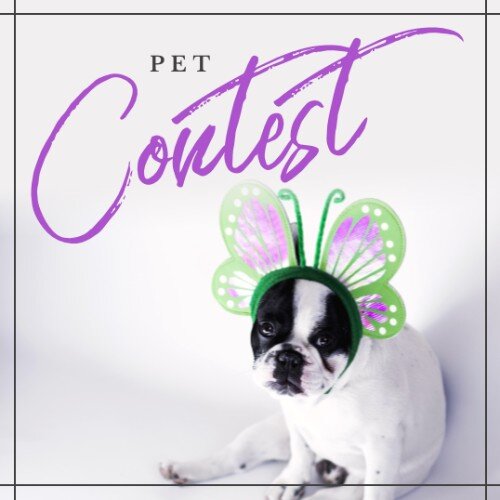 IG4238-Pet+Contest+Digital+Graphic.jpg