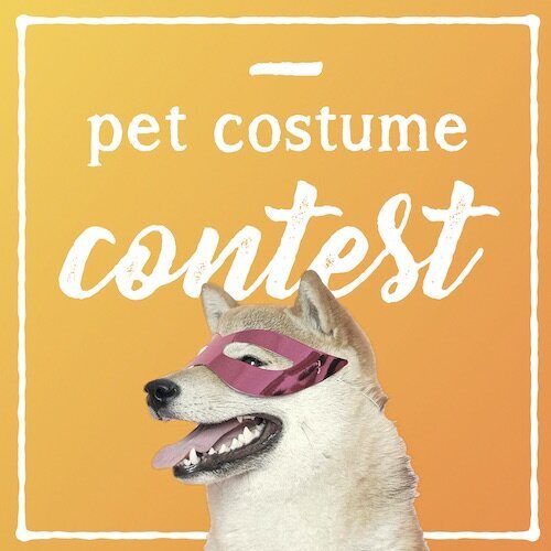 IG7688-Pet+Costume+Contest+Digital+Graphic.jpg