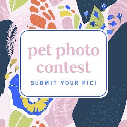 IG8274-Bold+Patterns+FC+Pet+Photo+Contest.jpg