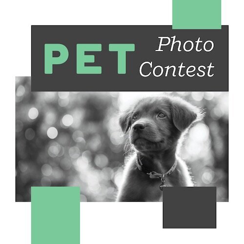 IG7228-Pet+Photo+Contest+Digital+Graphic.jpg