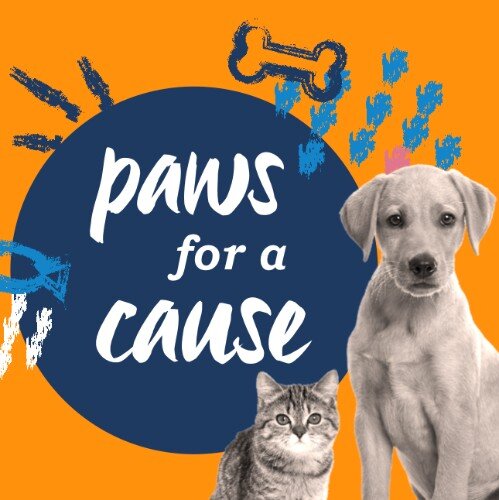 IG3650-All+Pets+FC+Pet+Charity+Digital+Graphic.jpg