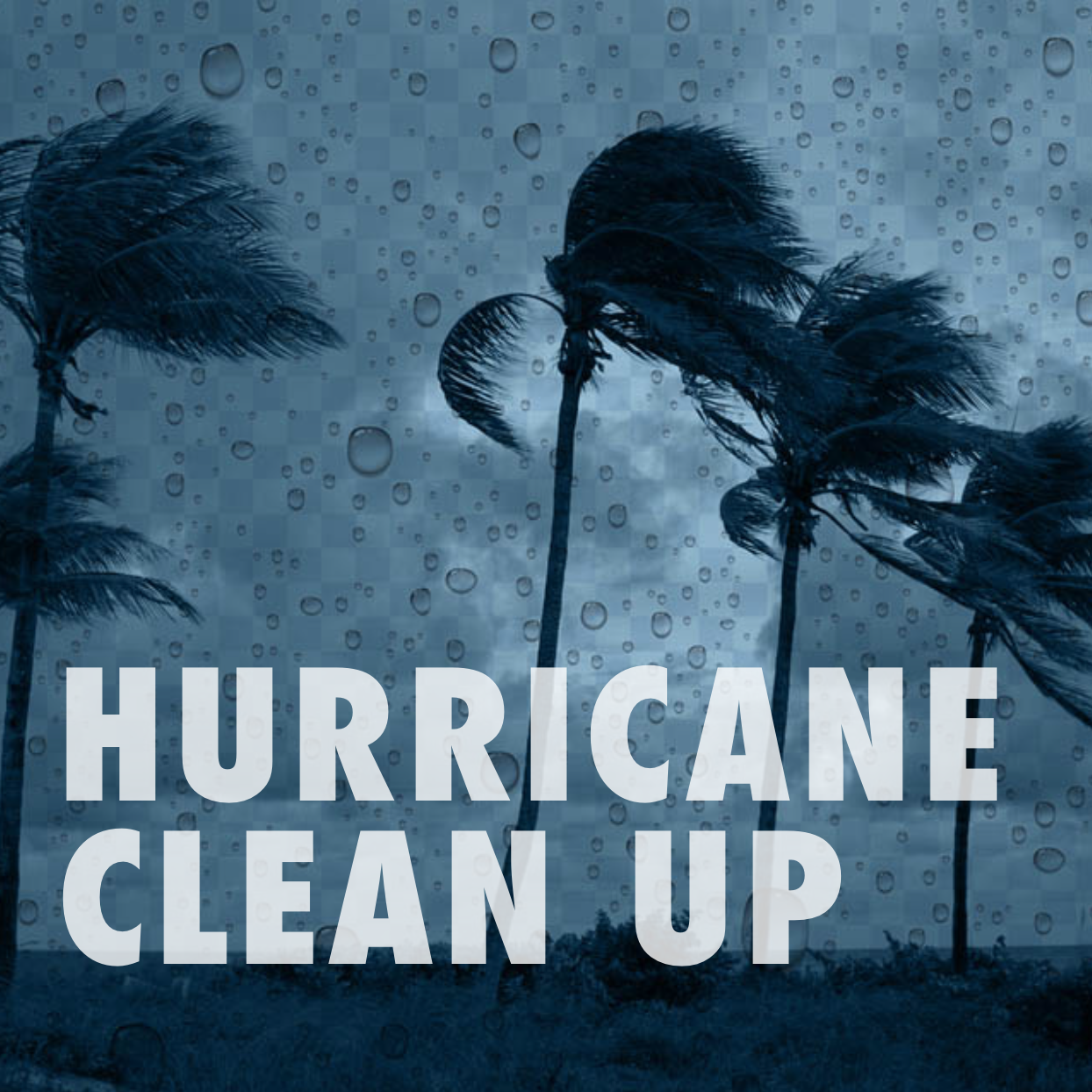IG2186-HurricaneCleanUpSMS.png