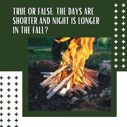 IG9039-Fall Trivia - Long Nights.jpg
