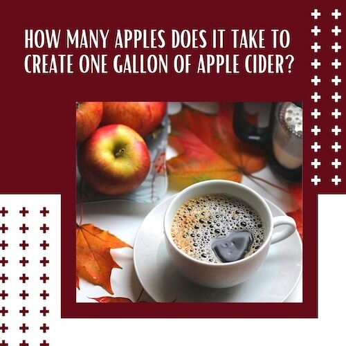 IG9038-Fall Trivia - Apple Cider.jpg