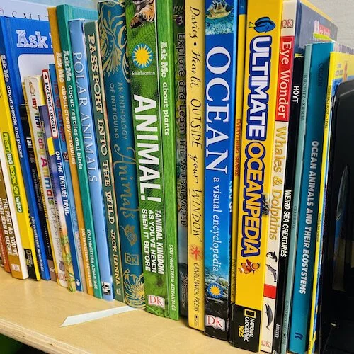 Stock+Photo+kids+books.jpg