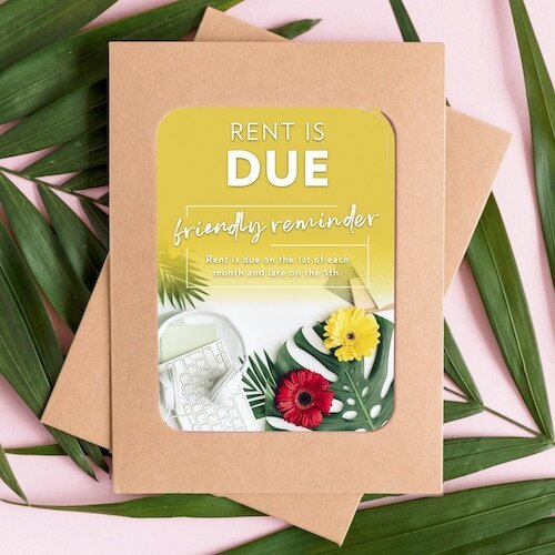 (#256) NOTICES: SPRING REFRESH