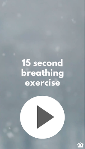 IGVD1002-Breathing+Guide.png