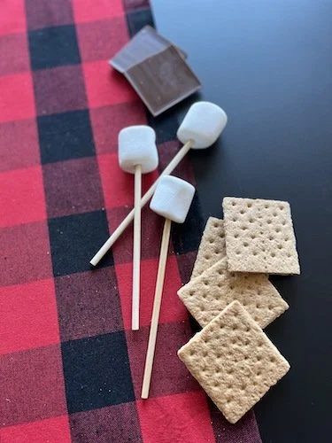 Stock Photo Smore Flannel 1.jpeg