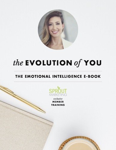 Emotional Intelligence E-Book