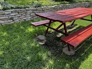 Picnic+Table+Outside+Grass.jpeg