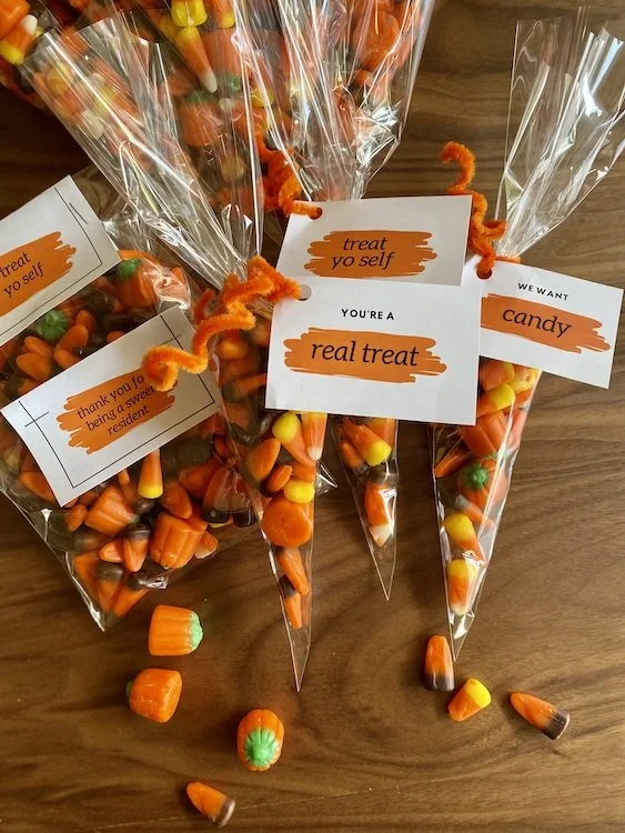 Fall Candy Bar IMG_4783.jpeg