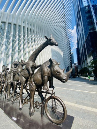 STOCK PHOTO OCULUS BICYCLING ANIMALS STATUE(2)-SocialPage
