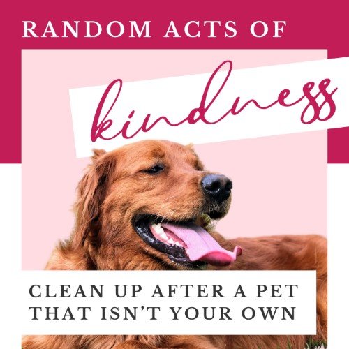 CAIG2713-Kindness Clean Up After Pets.jpg