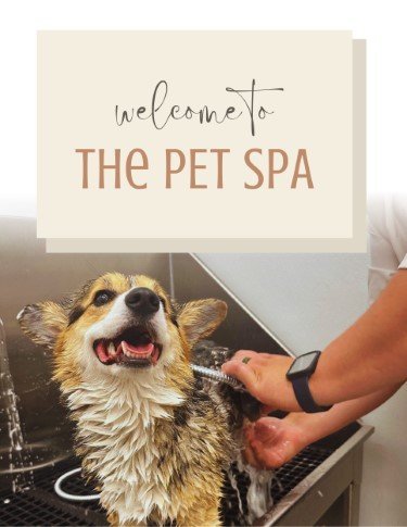 CA3168-Welcome+to+Pet+Spa.jpg