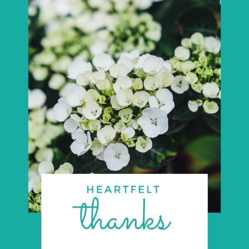 CAIG2717-HEARTFELT THANKS HYDRANGEAS-SocialPage