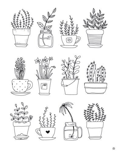 3256-Potted+Plant+Coloring+Page.jpg