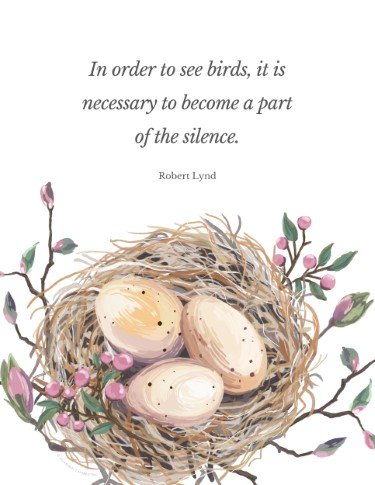 CA3733-Bird's Nest Silence Quote.jpg