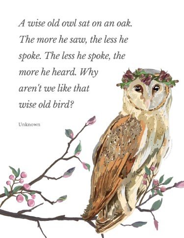 CA3734-Bird's Nest Wise Old Owl Quote.jpg