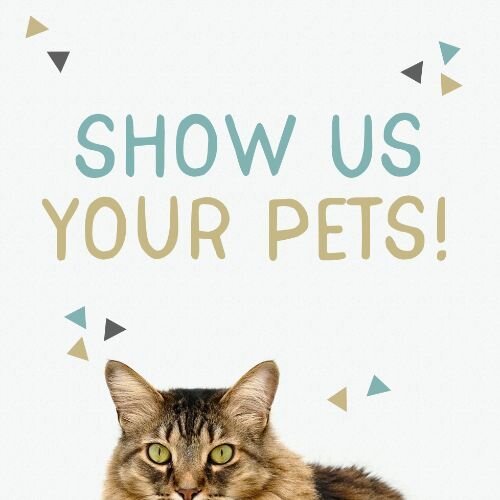 IG6954-SHARE YOUR PETS DIGITAL GRAPHIC-SocialPage