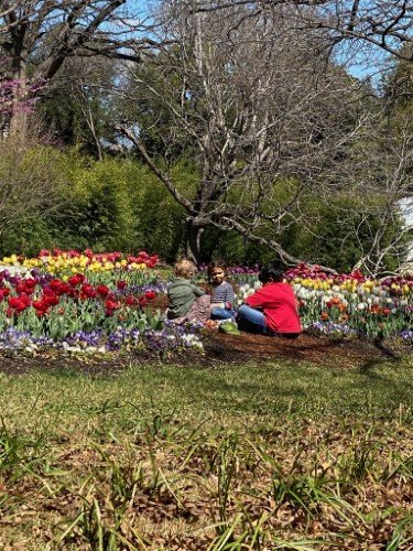 STOCK PHOTO KIDS FLOWER PARK (1)-SocialPage