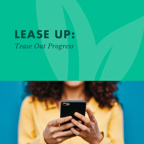 Lease Up: Tease Out Progress