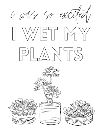 CA1491 Succulent So Excited Coloring.png