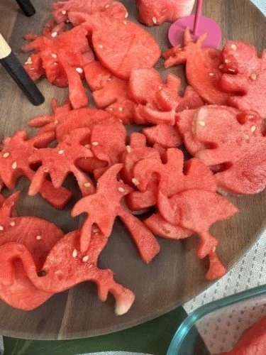 Stock+Photo+Flamingo+Watermelon.jpg