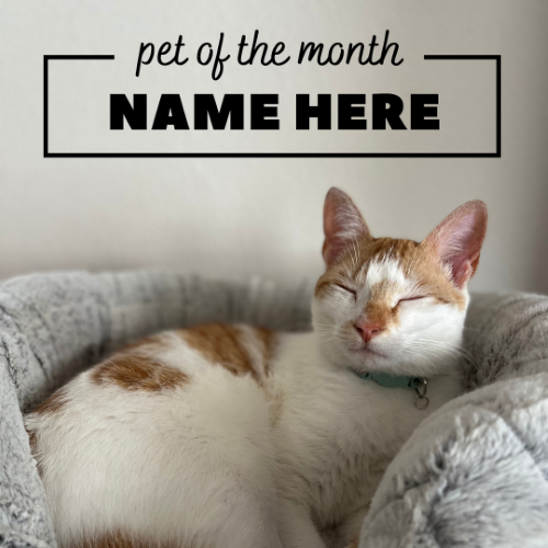 CAIG2976-Peace Pet of the Month.png