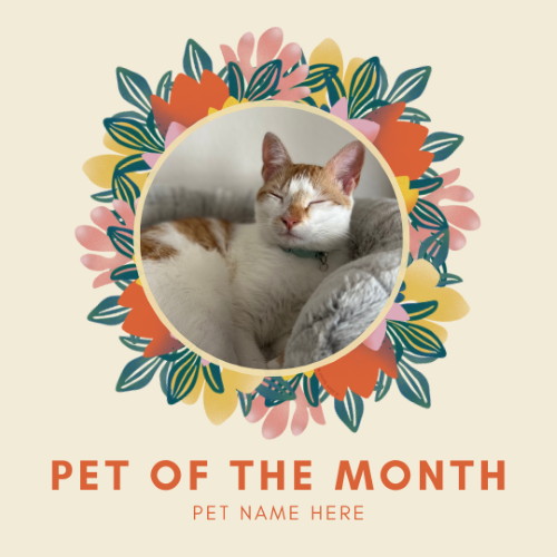 CAIG2980-Mod Spring 4 Pet of the Month.png
