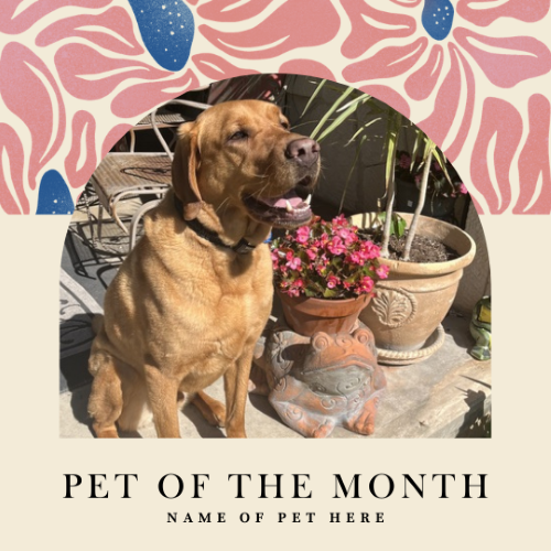 CAIG2983-Mod Spring 7 Pet of the Month.png