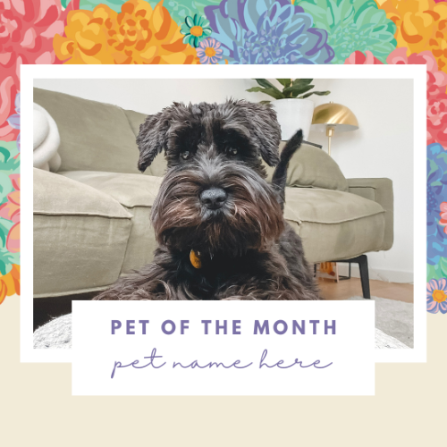 CAIG3014-Wildflower 2 Pet of the Month.png