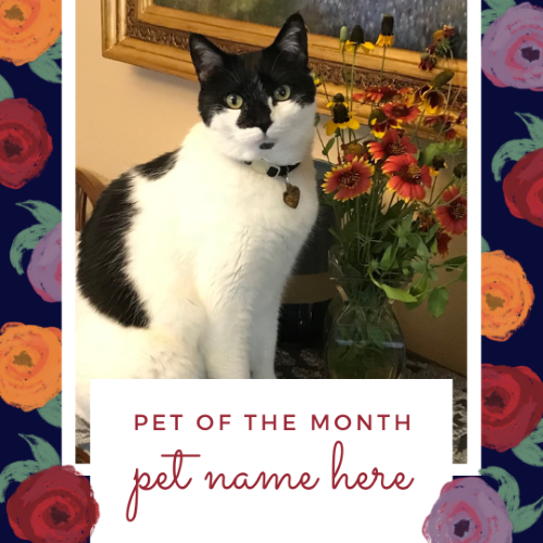 CAIG3024-Bold Roses Pet of the Month.png