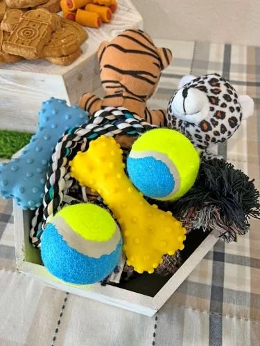 Stock Photo Barkcuterie Toys (2).jpeg