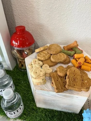 Stock Photo Barkcuterie Treats  (2).jpeg