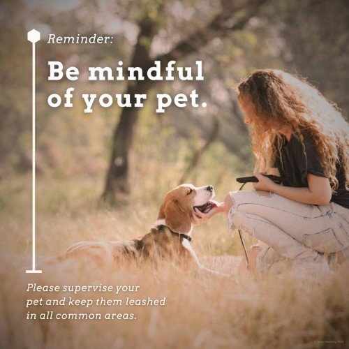 CAIG3107-Pet+Reminder.jpg