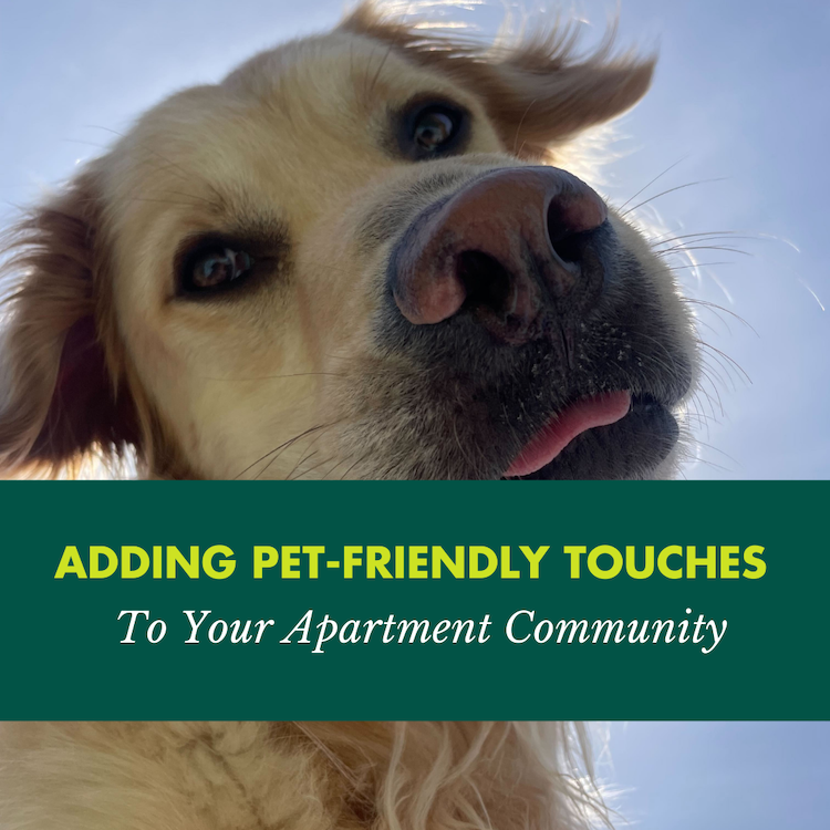Pet-Friendly Marketing Ideas