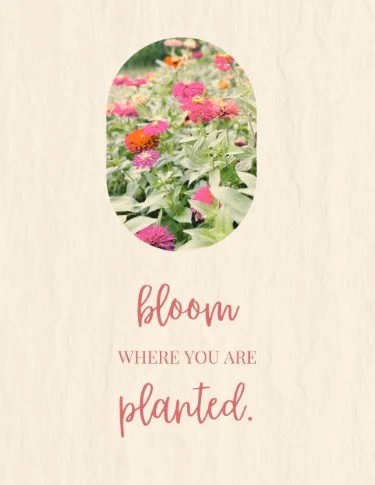 CA5098-Gather & Grow Bloom Where Planted.jpg